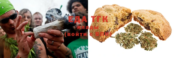 PSILOCYBIN Аркадак