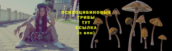 спайс Армянск
