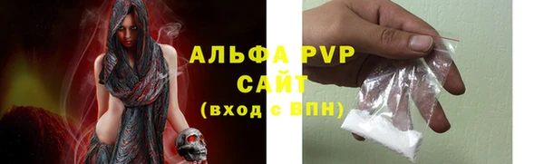 PSILOCYBIN Аркадак