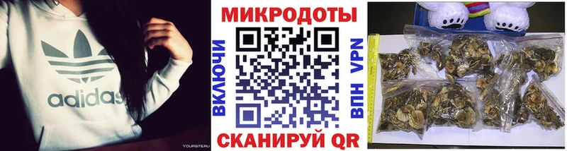 Галлюциногенные грибы MAGIC MUSHROOMS Купить Каменногорск